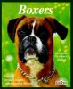 Go to record Boxers : everything about purchase, care, nutrition, breed...