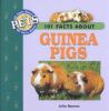 Go to record 101 facts about guinea pigs