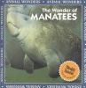 Go to record The wonder of manatees