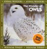 Go to record The wonder of owls