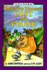 Go to record Detective Dinosaur : lost and found