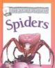 Go to record The secret world of spiders