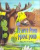 Go to record Beaver pond, moose pond