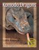 Go to record Komodo dragons