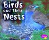 Go to record Birds and their nests