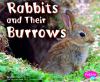 Go to record Rabbits and their burrows