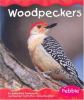 Go to record Woodpeckers