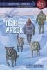 Go to record Ice wreck