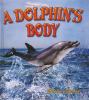 Go to record A dolphin's body