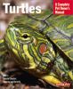 Go to record Turtles : everything about purchase, care, nutrition, and ...