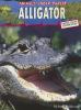 Go to record Alligator