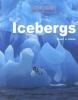 Go to record Icebergs