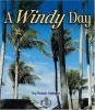 Go to record A windy day