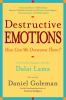 Go to record Destructive emotions : how can we overcome them? : a scien...