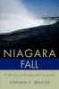 Go to record Niagara fall : a novel of crime and comedy