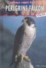 Go to record Peregrine falcon : saved from extinction!