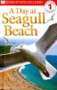 Go to record A day at seagull beach