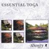 Go to record Essential yoga.