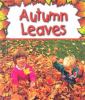 Go to record Autumn leaves