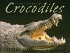 Go to record Crocodiles