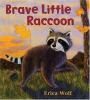 Go to record Brave little raccoon