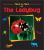 Go to record Face-to-face with the ladybug