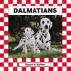 Go to record Dalmatians