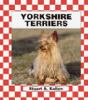 Go to record Yorkshire terriers