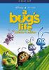 Go to record A bug's life