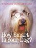 Go to record How smart is your dog? : 30 fun science activities with yo...