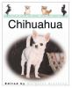 Go to record Living with a chihuahua