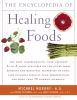 Go to record The encyclopedia of healing foods