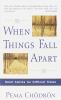 Go to record When things fall apart : heart advice for difficult times