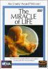 Go to record The Miracle of life