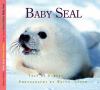 Go to record Baby seal