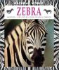 Go to record Zebra