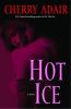Go to record Hot ice : a novel
