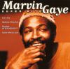 Go to record Marvin Gaye.