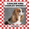 Go to record Cavalier King Charles spaniels