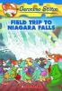 Go to record Field trip to Niagara Falls