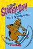 Go to record Scooby-doo! and the scary skateboarder