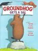 Go to record Groundhog gets a say