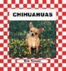 Go to record Chihuahuas