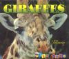Go to record Giraffes