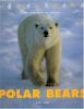 Go to record Polar bears