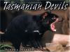 Go to record Tasmanian devils