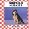 Go to record Siberian huskies