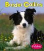 Go to record Border collies