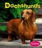 Go to record Dachshunds