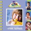 Go to record My first book about the five senses